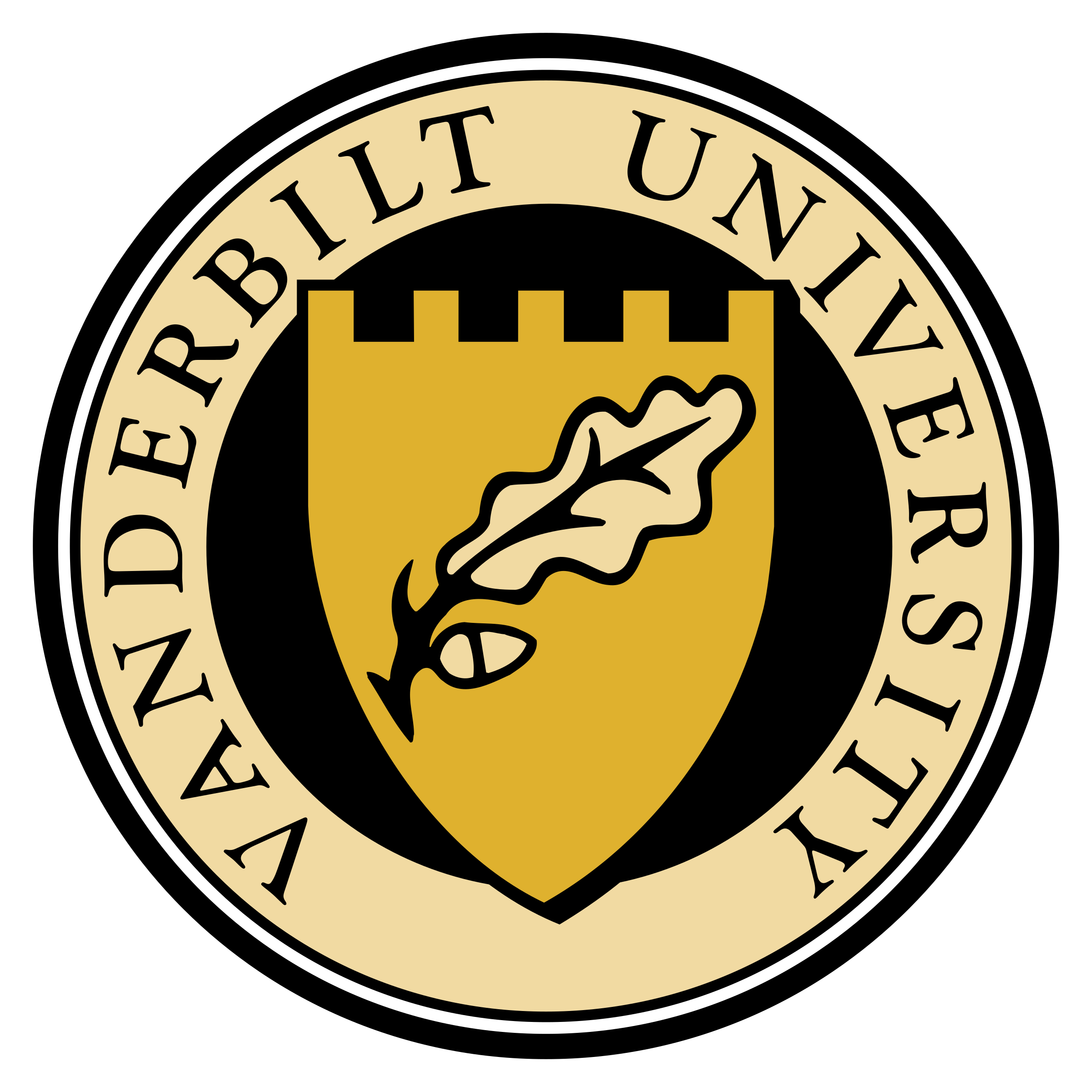 vanderbilt-university-1-logo-png-transparent.png