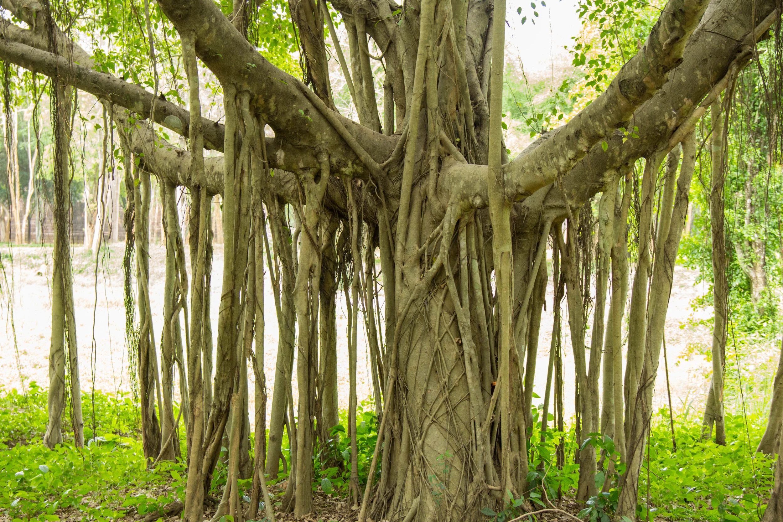 Thailand(D)-11.jpg