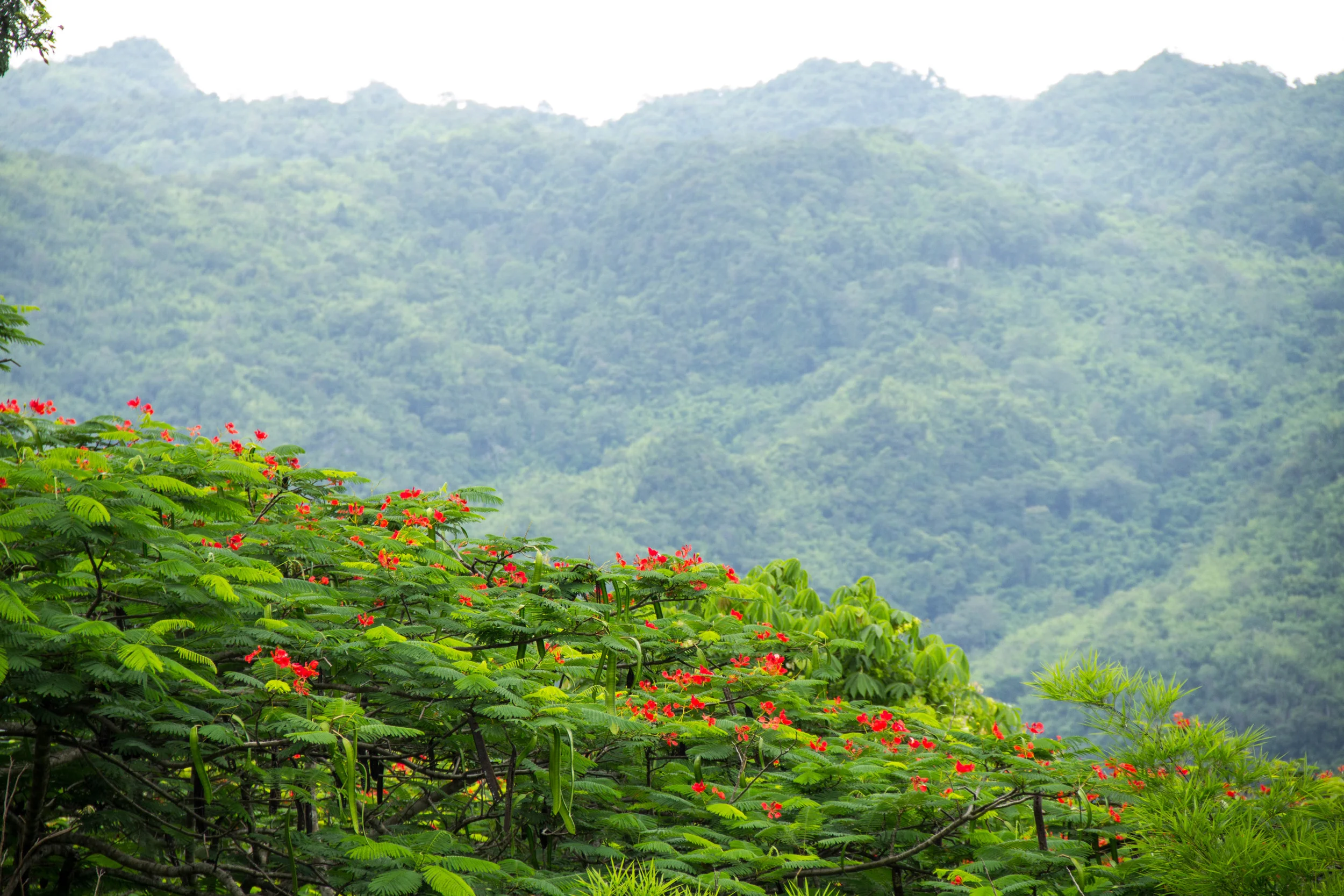 Thailand(D)-10.jpg