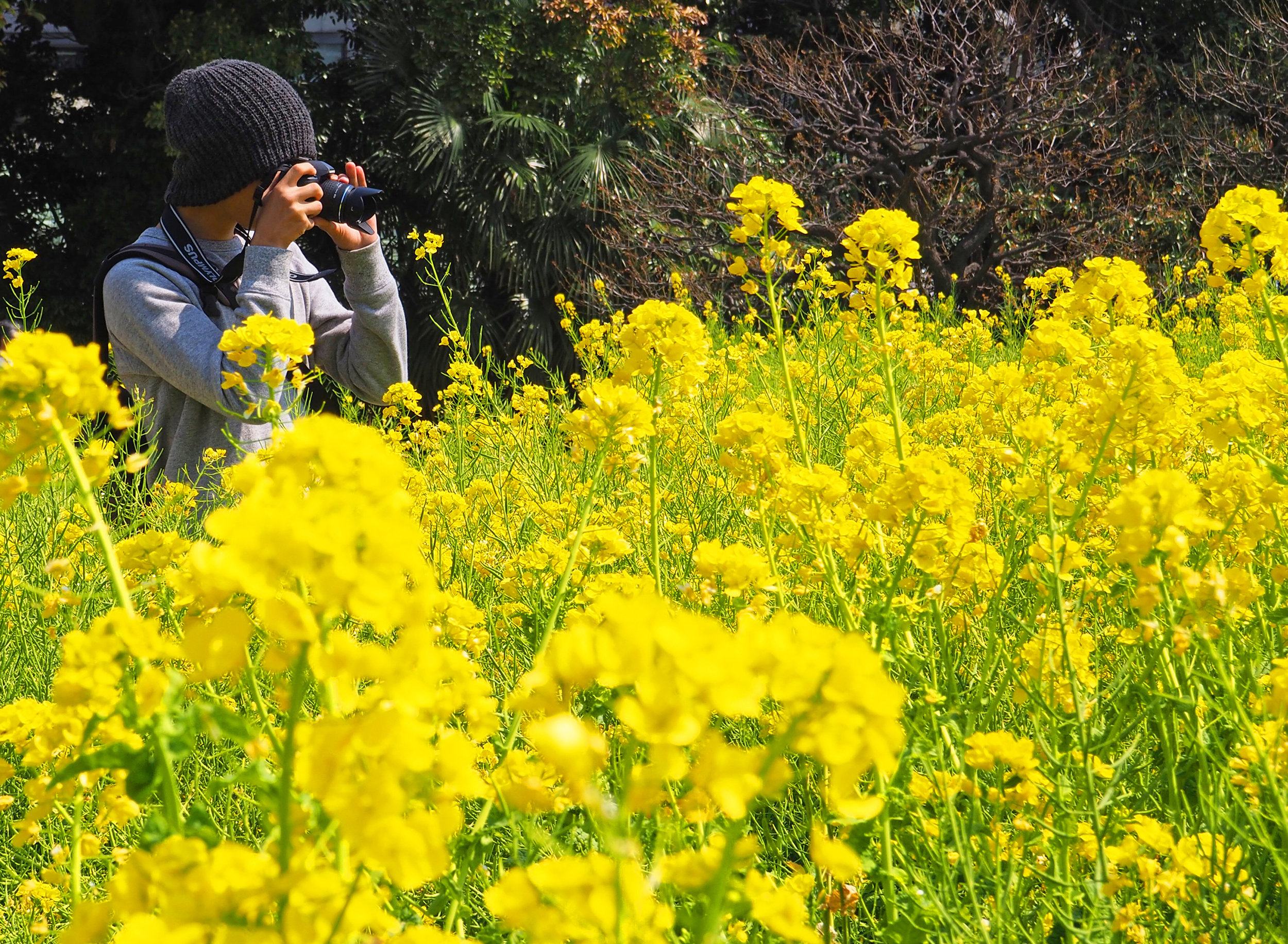 Hamarikyu Gardens - Tokyo