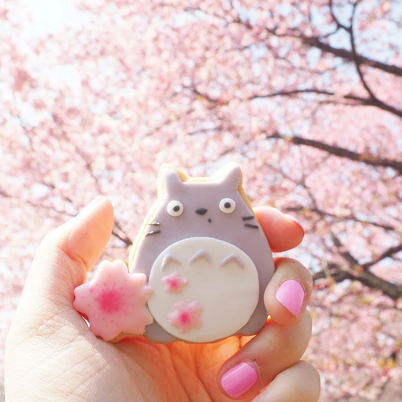 Totoro and Sakura at Shinjuku Gyoen - Tokyo, Japan.