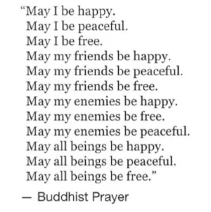 699e870992980a974f8bcc9898b2f0ac--buddhist-wisdom-buddhist-prayer.jpg