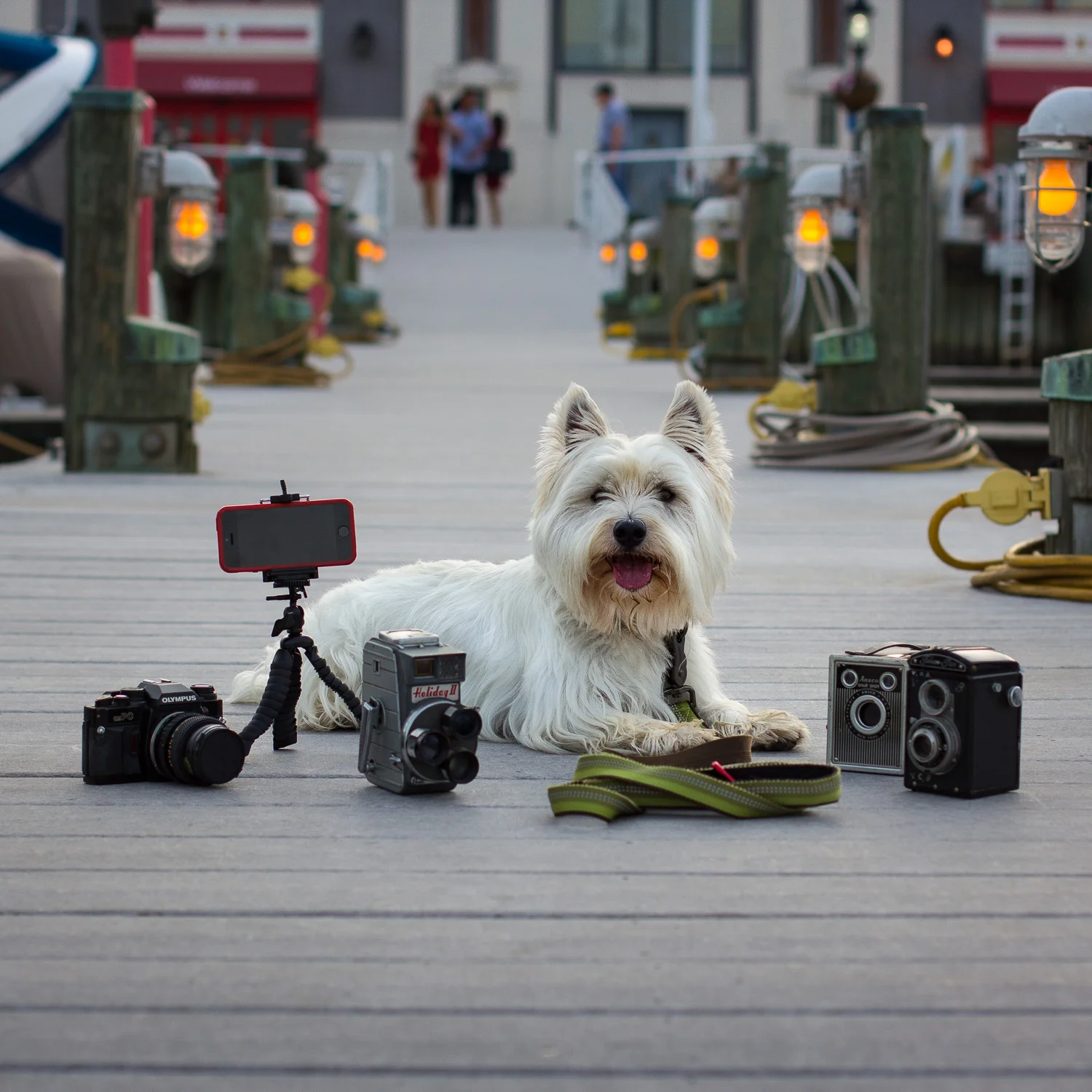 Perfect summer evening in Old Town! Bring any kind of camera on the tour and have fun! 