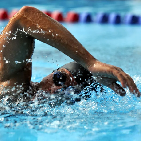 image_natation.jpg