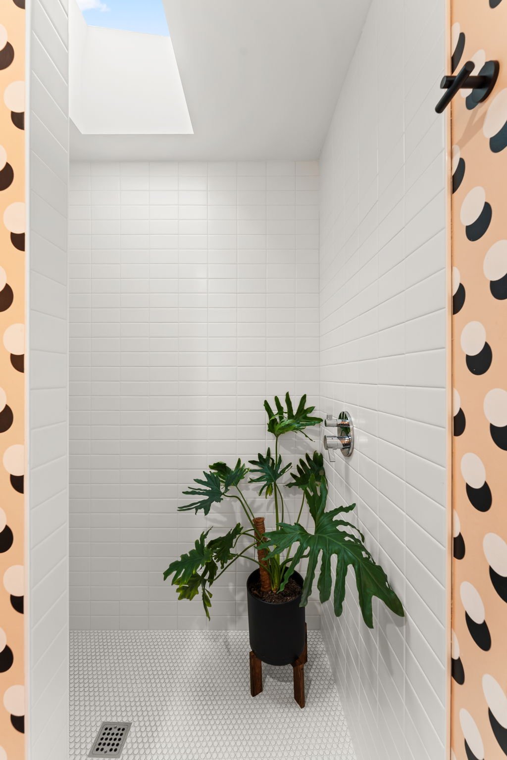 Shower Skylight Austin Custom Remodel.jpg