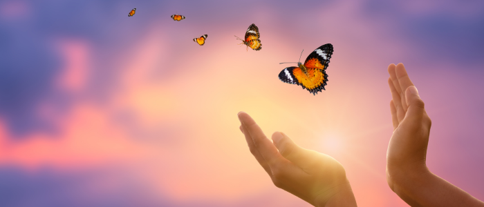 Spiritual Practice Workshop