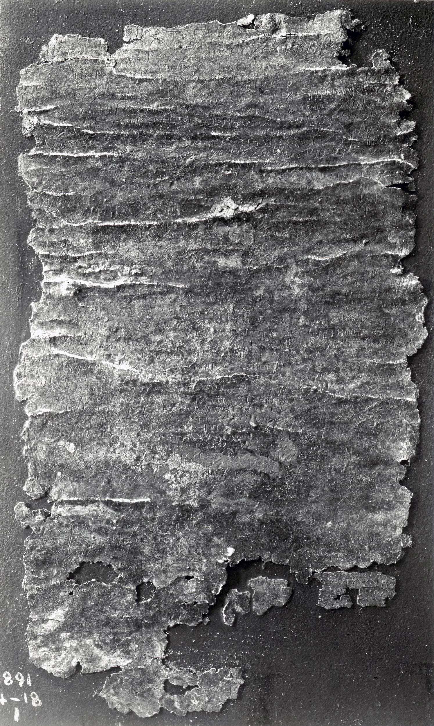 1564480001.jpg