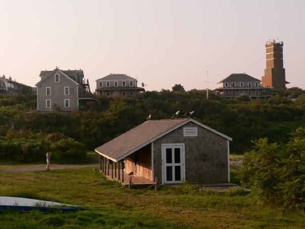 The banding station at the Shoals Marine Laboratory. Appledore Island, ME