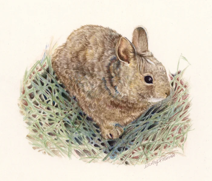 colored_pencil_on_mylar.jpg