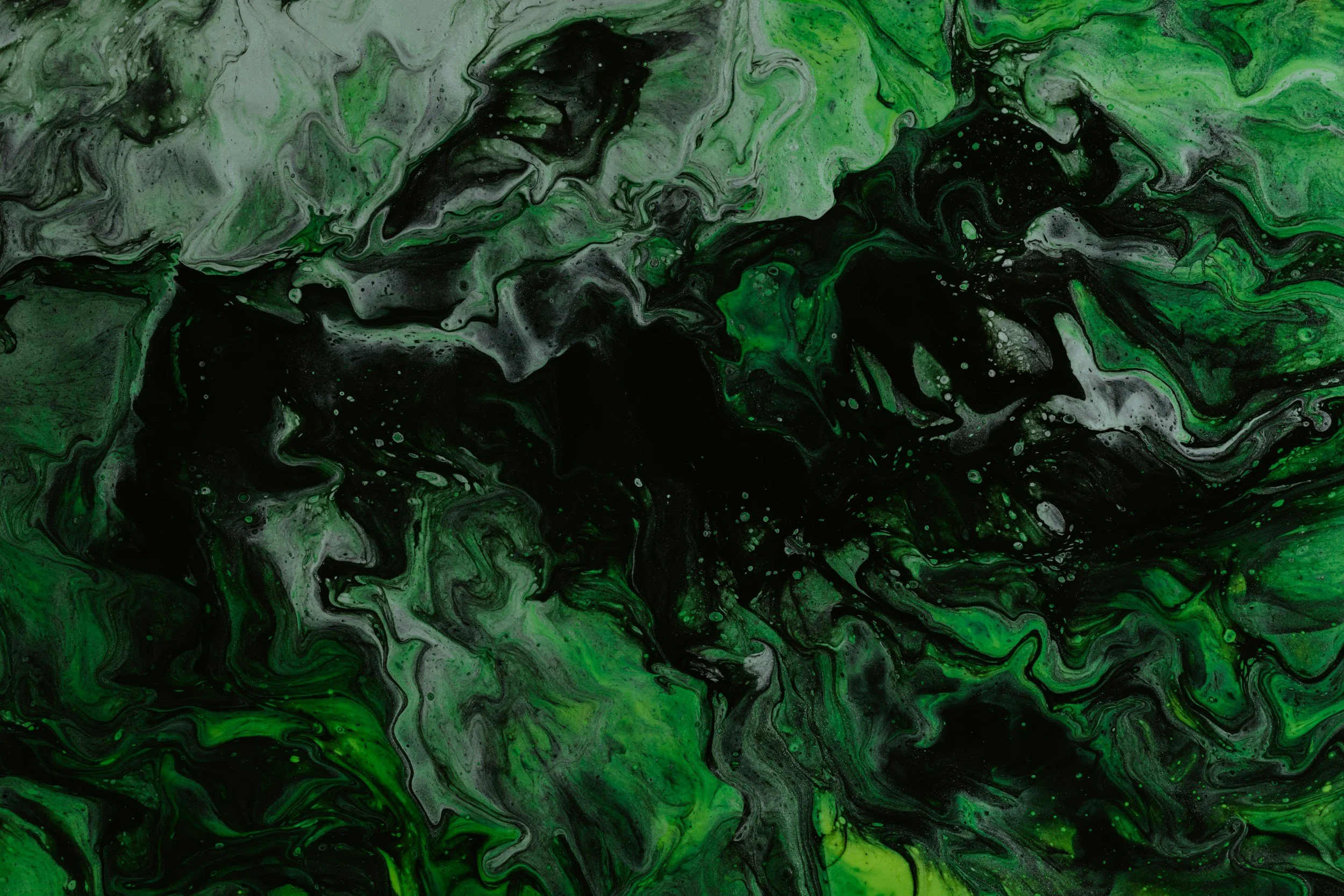 unsplash-image-FwEPJvzFnWQ.jpg