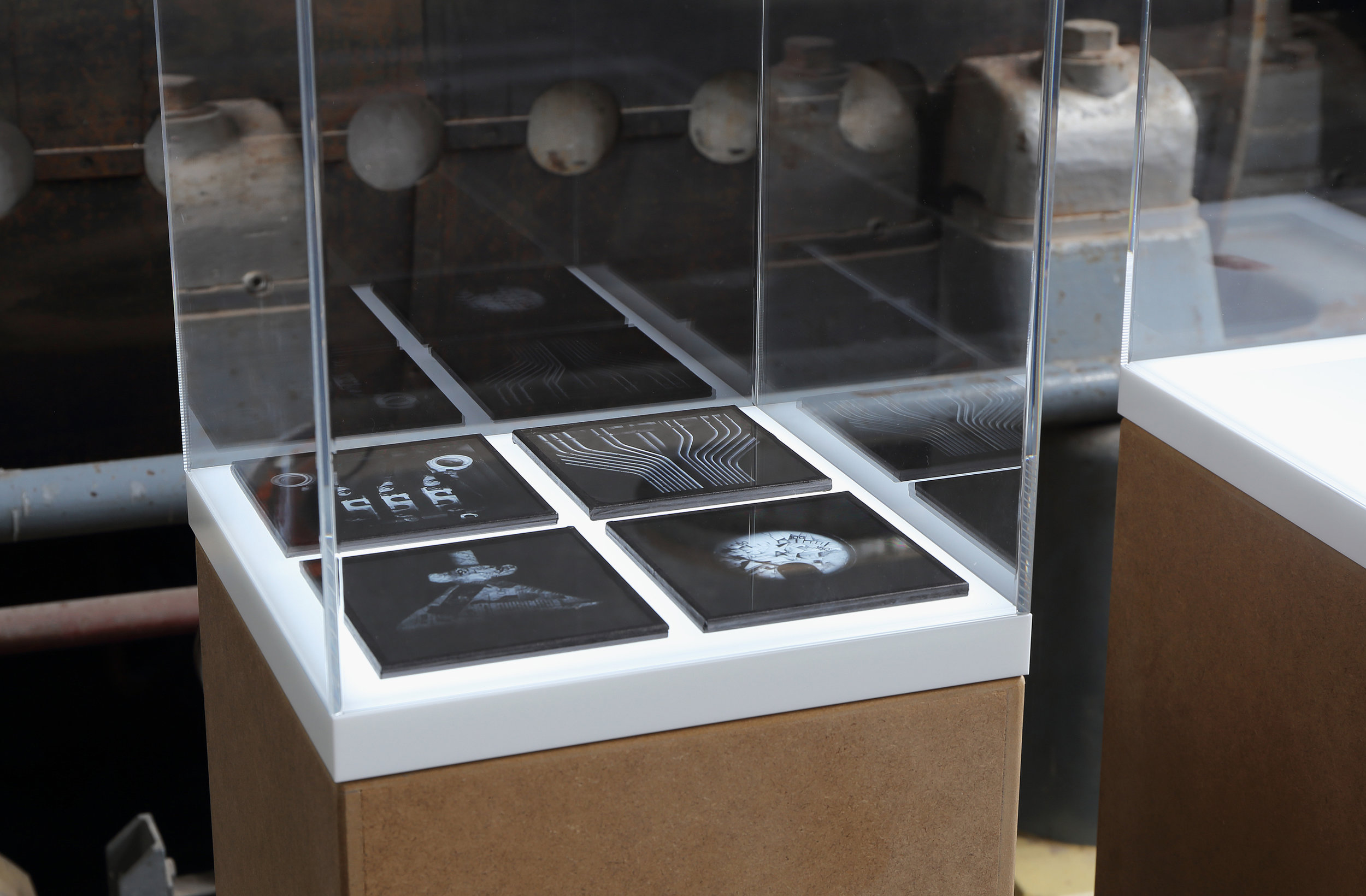 Installation view (Foto: Christian Ecker)