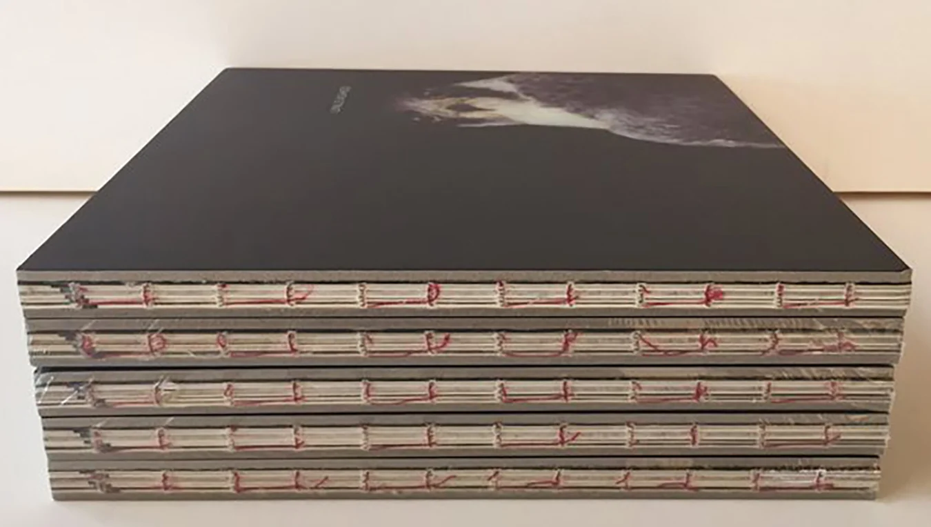 Unleashed binding detail.jpg
