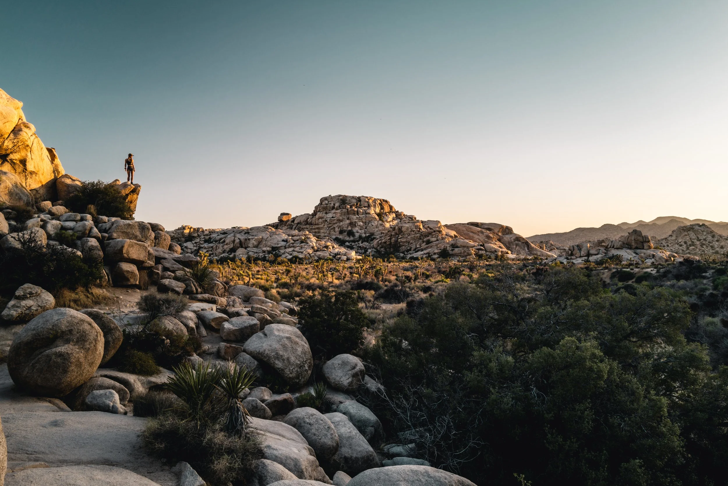 Joshua Tree Photos for Website prints-1000257.jpg