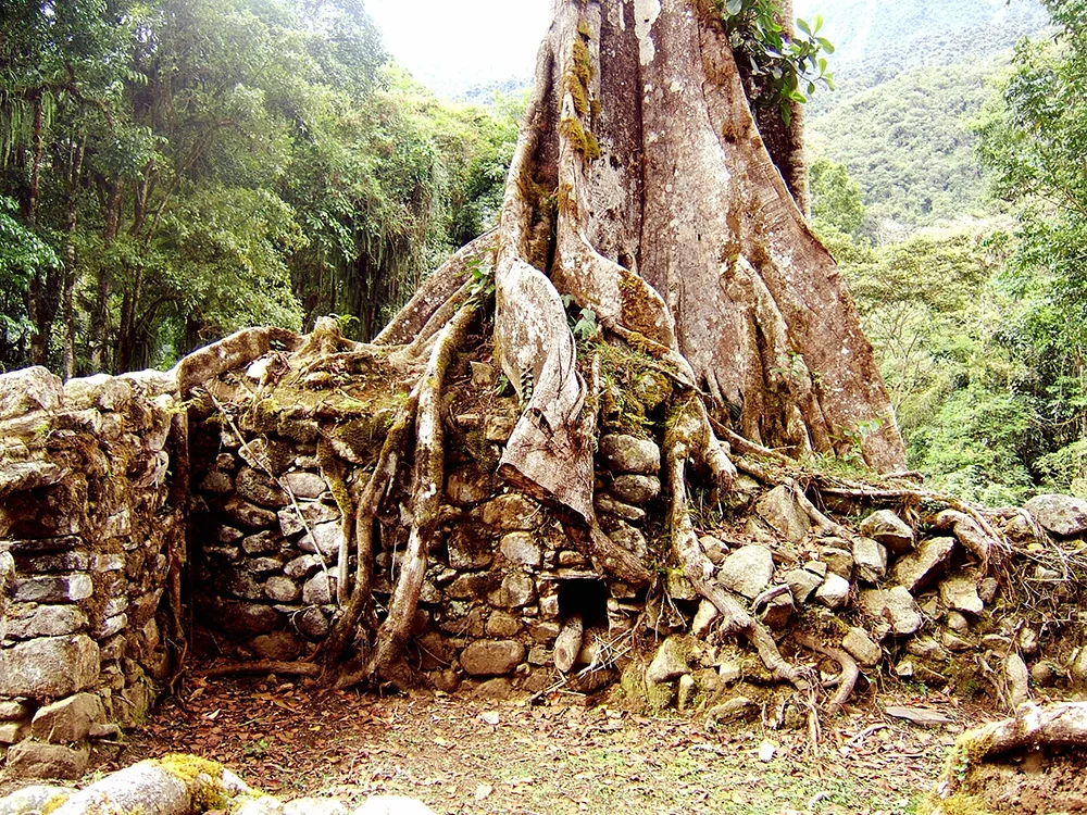 Discovering the Wari Remains at Espiritu Pampa