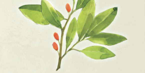 GRIT &amp; SILVER BY JOANNA HEYWOOD