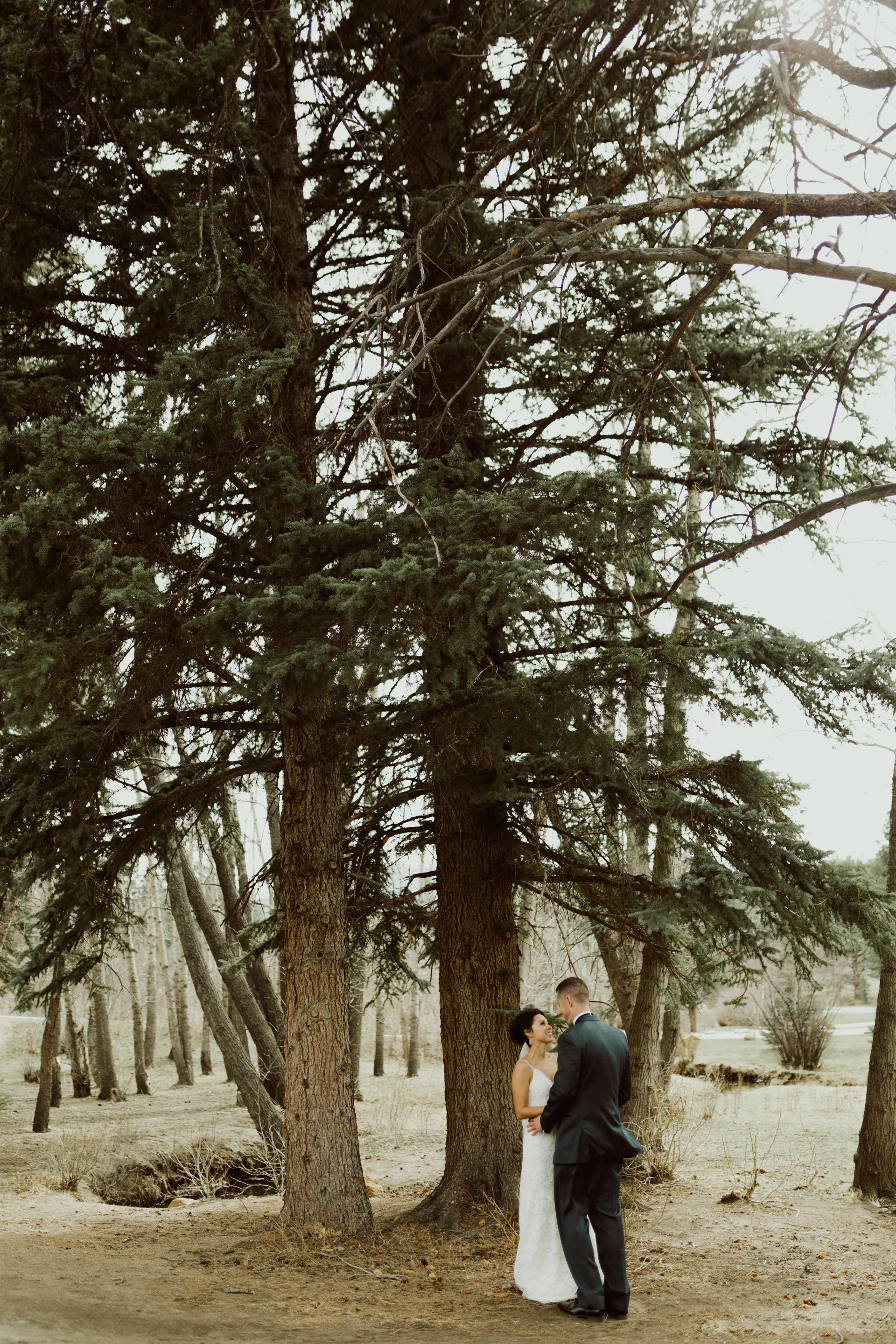 estes-park-intimate-mountain-wedding-1030.jpg