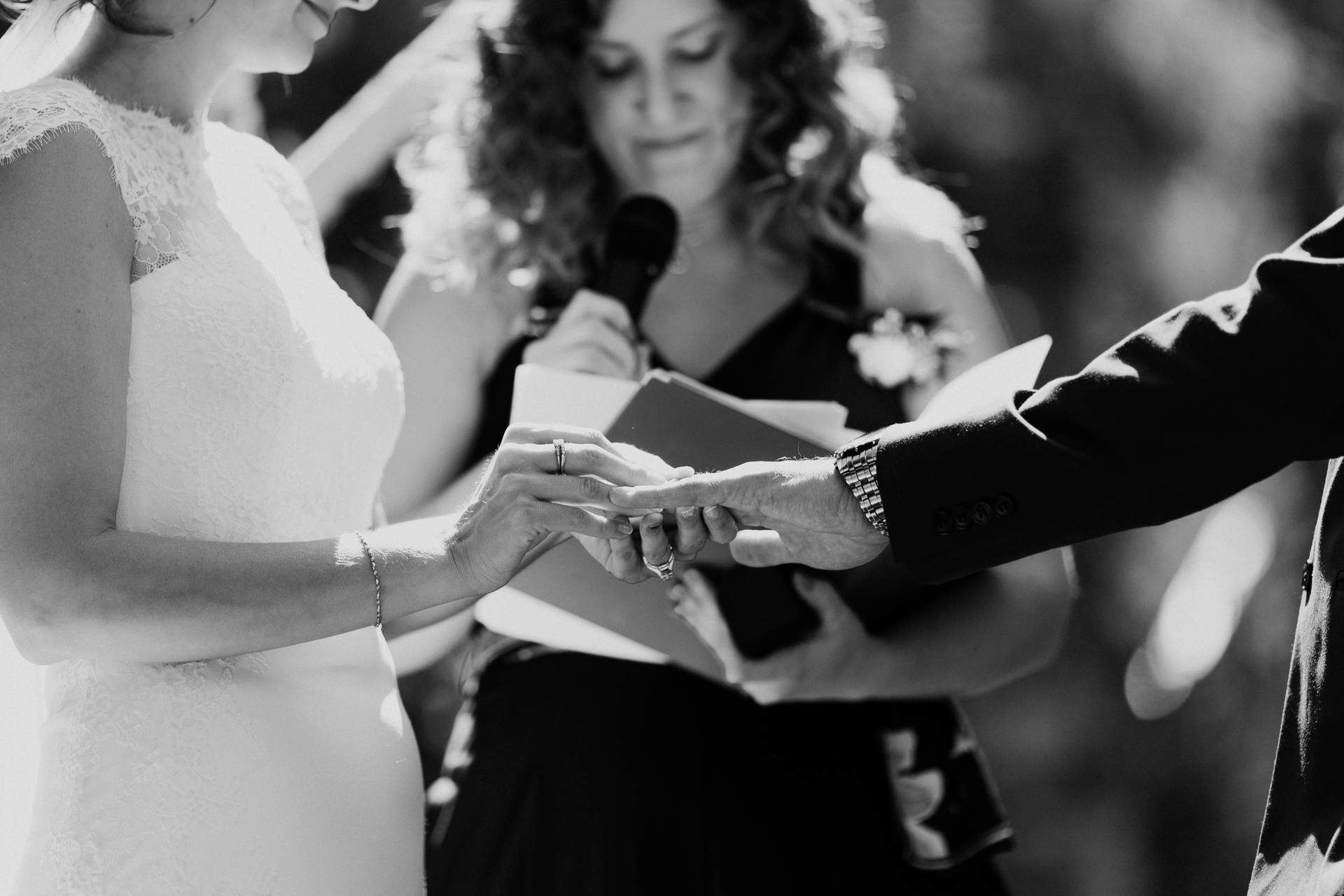 cedarandpines-wedgewood-boulder-creek-wedding-19.jpg