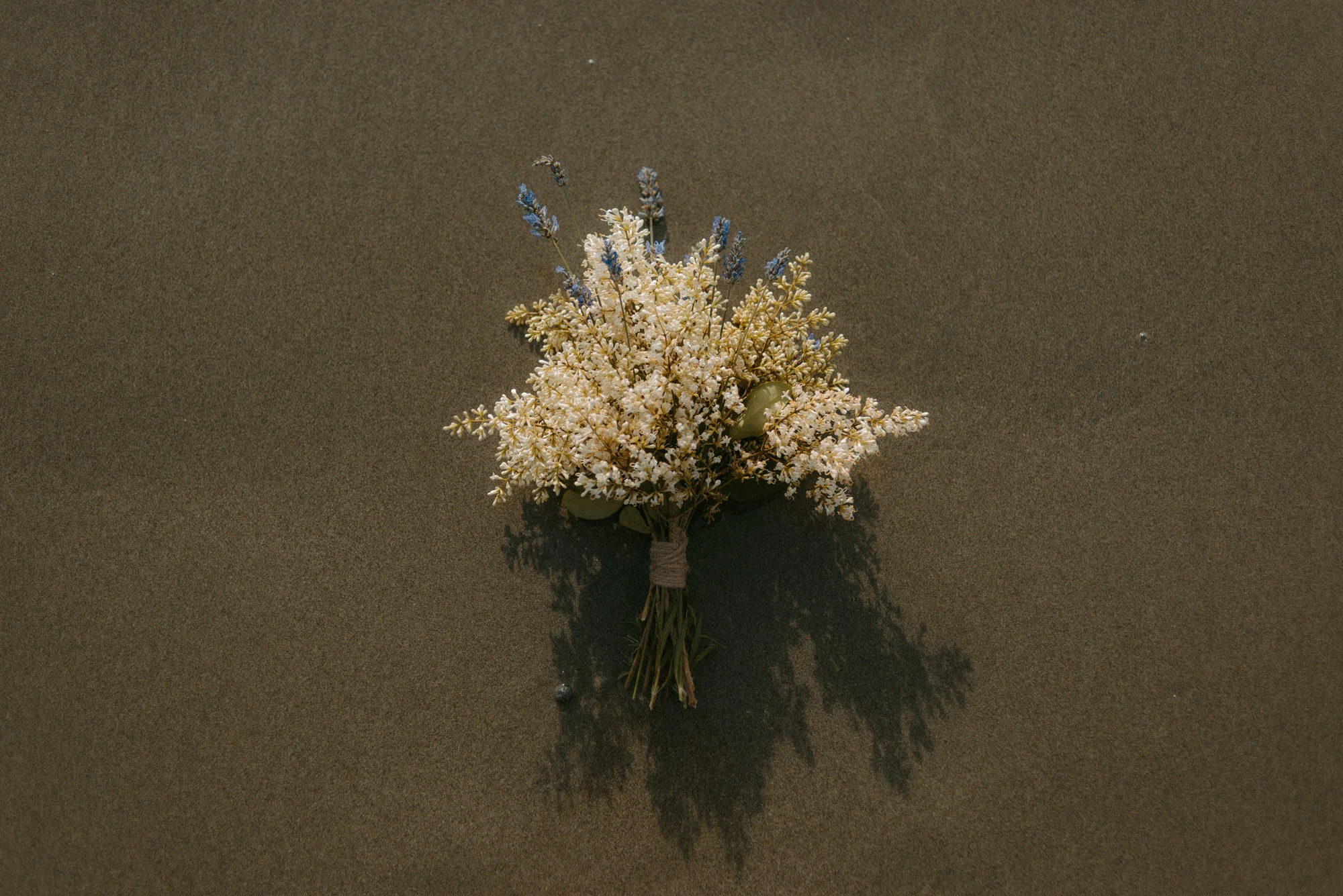 big-sur-adventure-elopement-photographer-78.jpg