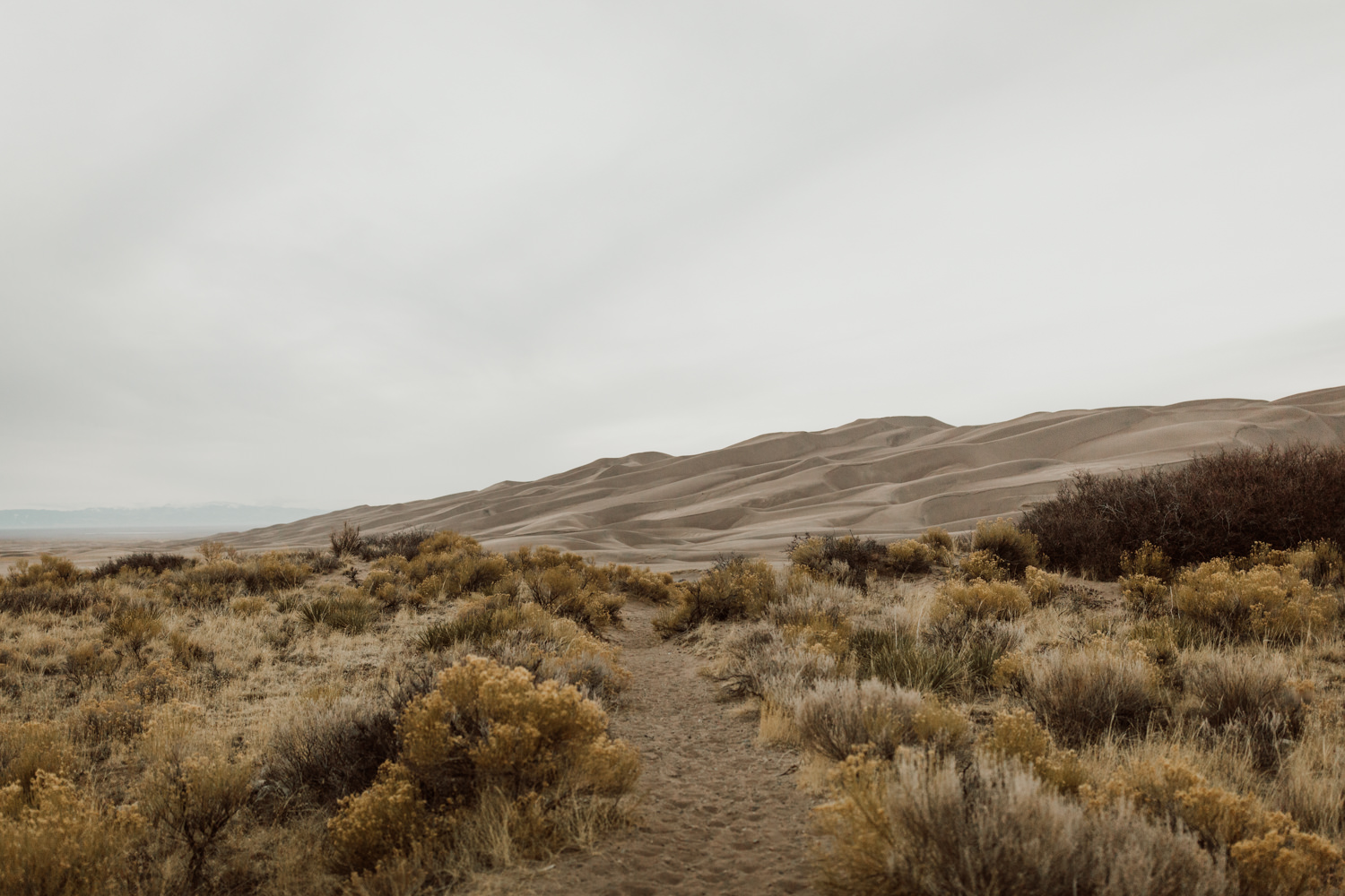 great-sand-dunes-national-park-elopement-29.jpg