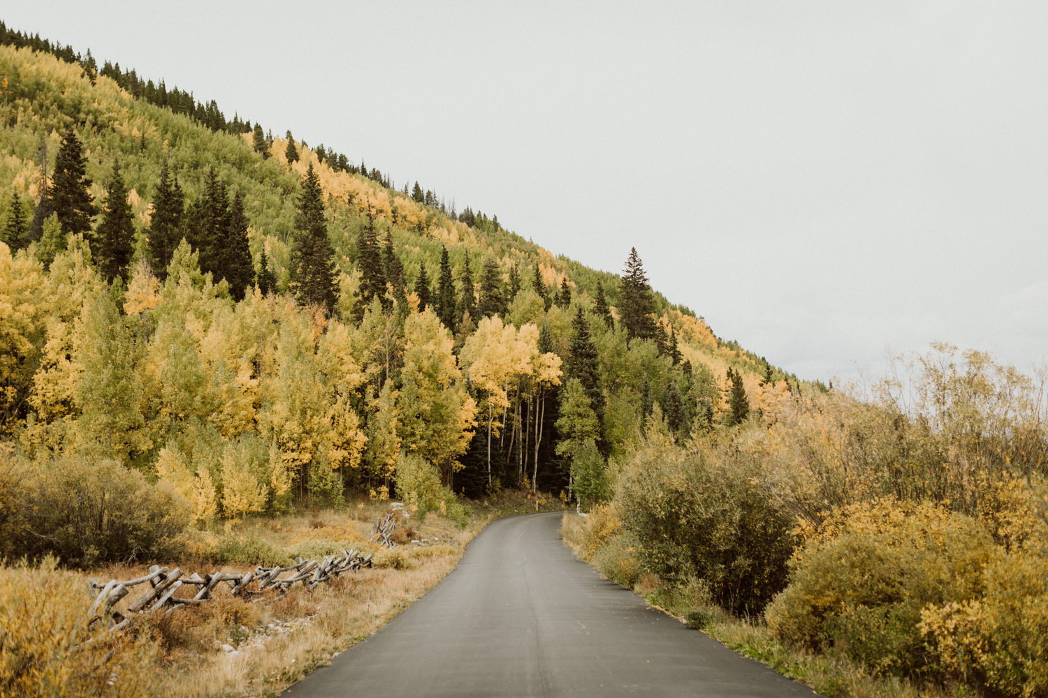 Elopement at Sapphire Point