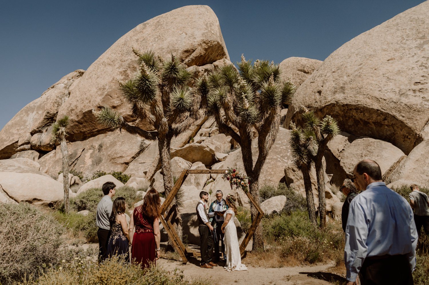 44_tree_national_park_joshua_wedding_photographer.jpg