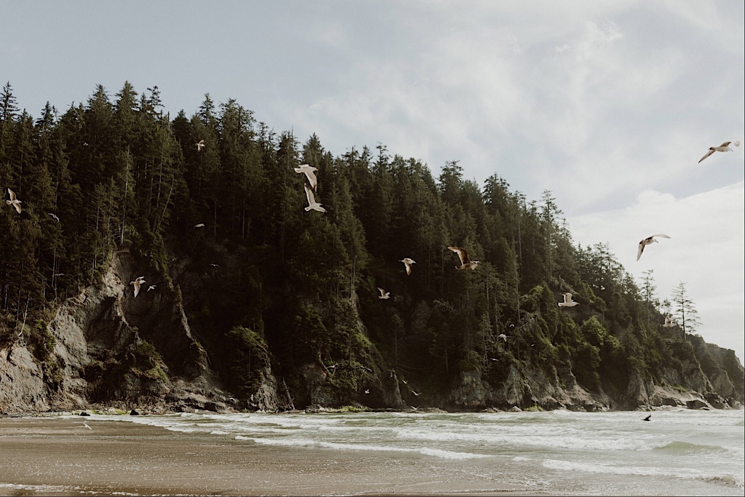 18_cedarandpines-short-sands-1_Oregon_Moodboard_Coast_Wedding.jpg