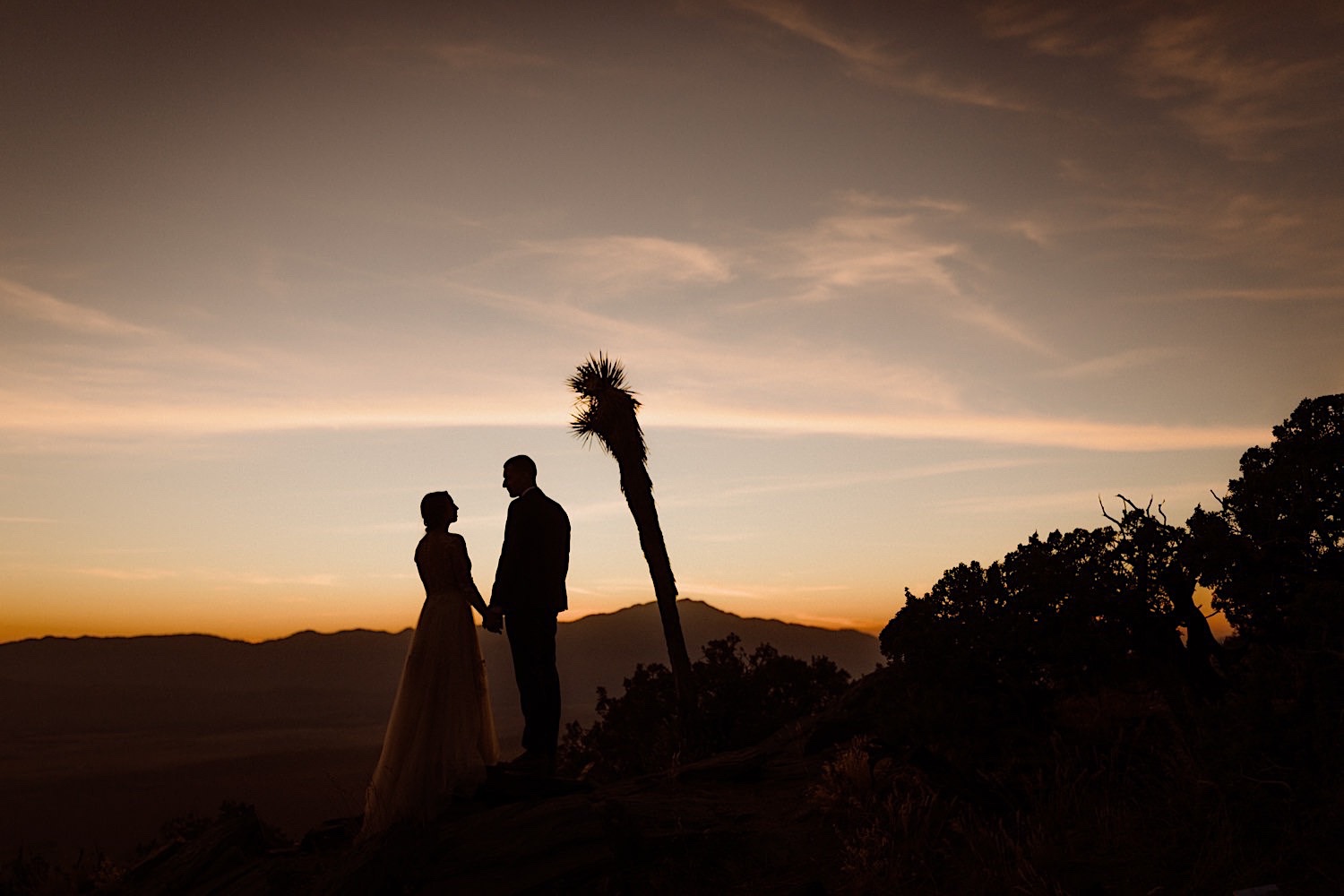 Elizabeth + James. Elopement in Joshua Tree California.
