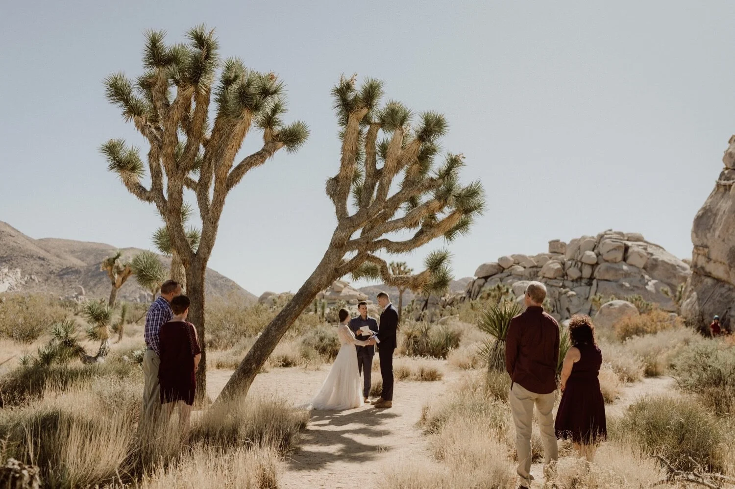 05_joshua-tree-national-park-elopement-6.jpg