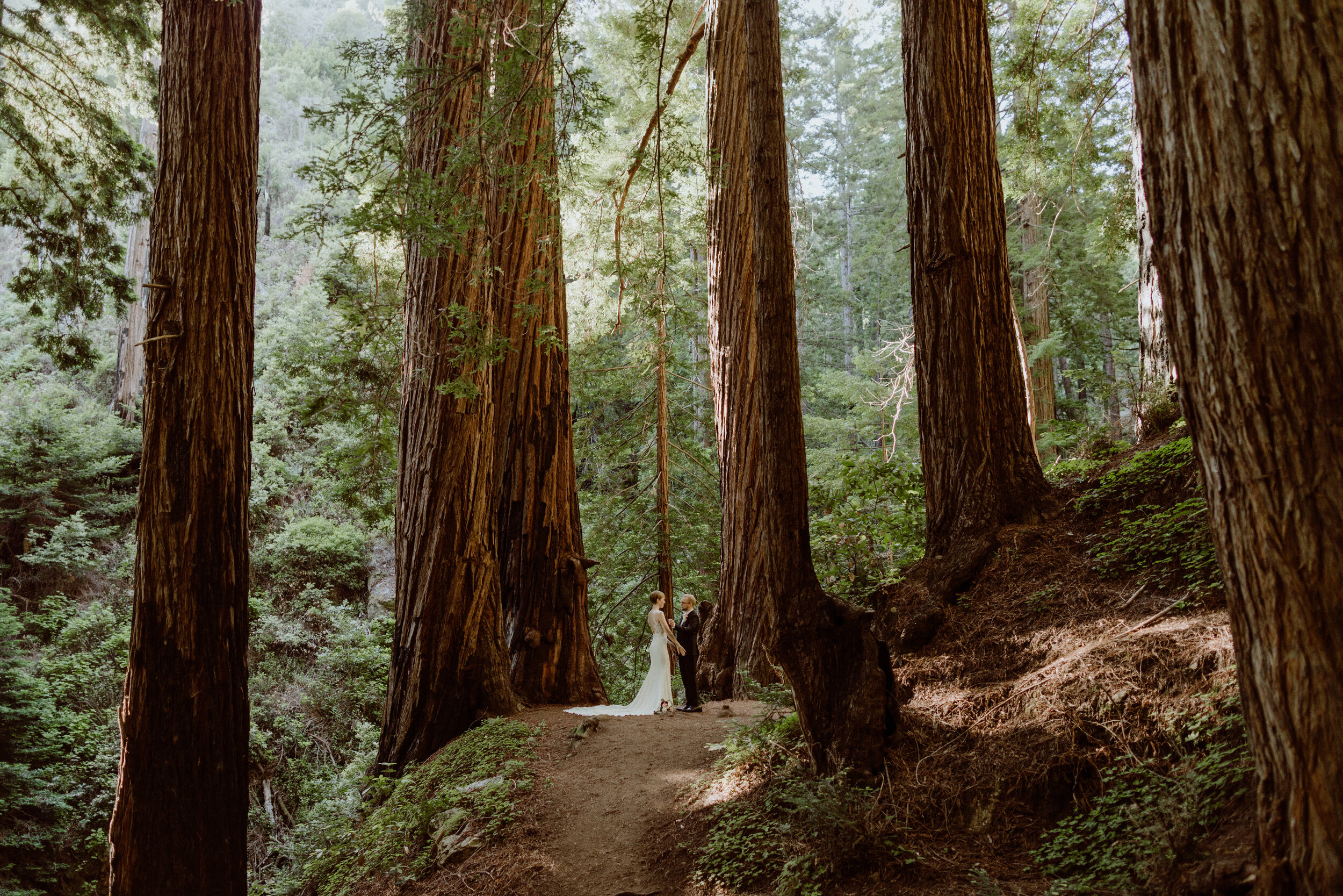 Kelly + Jacy. Elopement in the Redwoods.