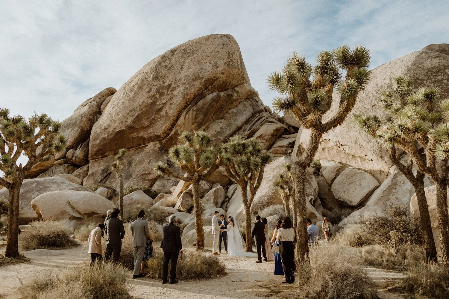 Ashley + Sean. Married in Joshua Tree.