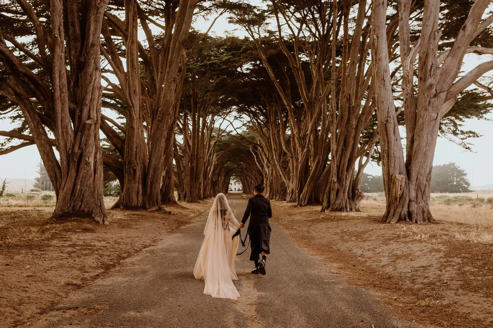 Sam + Euphoria. Married at Point Reyes.