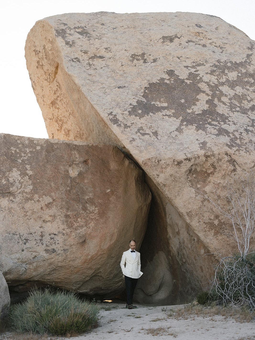 excited to see this one getting its flowers.

Jen + Scott&rsquo;s wedding in Joshua Tree is published on @greenweddingshoes today.

cake in the pool, tea ceremony in the National Park, al fresco dinner, adventures on boulders, and an overall feeling 