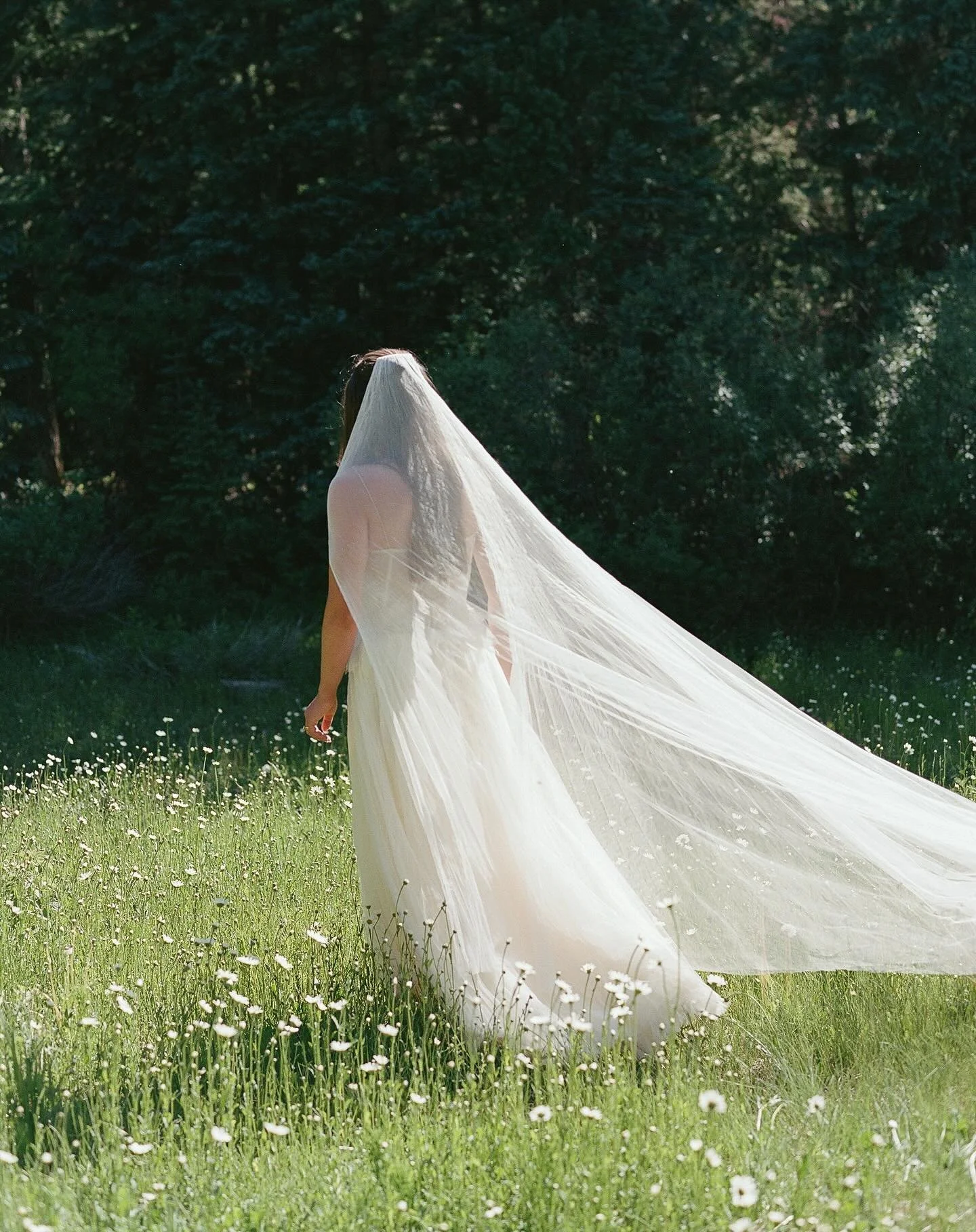 Emma in @daniellefrankelstudio 

&mdash;&mdash;&mdash;

@bydunton 
@lovethisdayevents 
@daniellefrankelbride