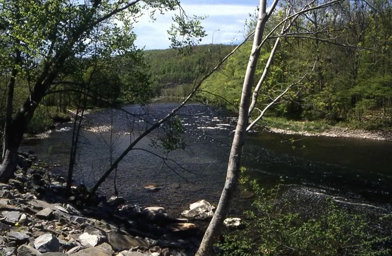 Hendrickson's Pool, Beaver Kill. New York State.