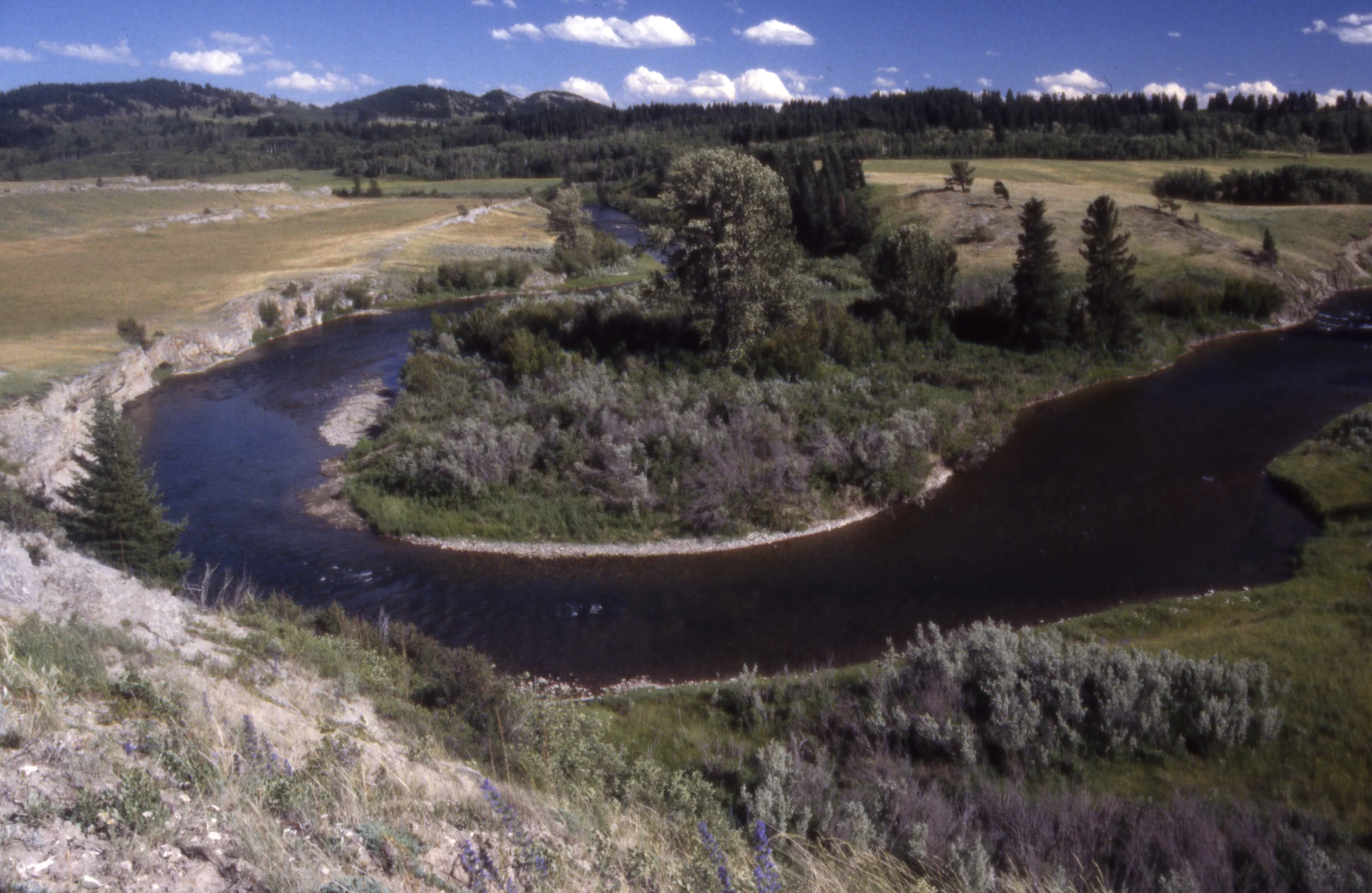 Figure 10. Crowsnest River, Alberta.