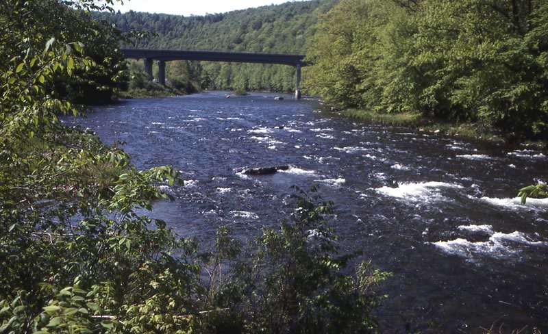 Figure 17. Beaver Kill, New York State.