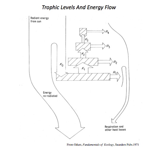 Figure 20