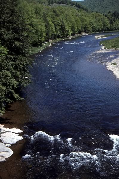 Figure 25. Trout Brook (upper right), emptying into Beaver Kill, New York State.