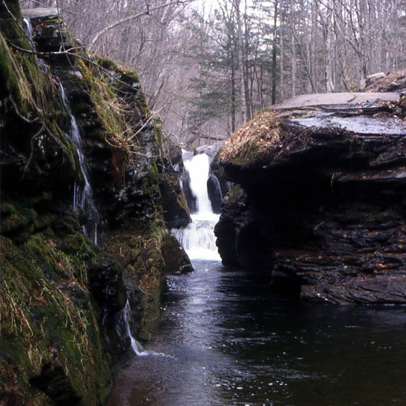 Figure 26. Biscuit Brook. Feeder stream for the Neversink River, New York State.