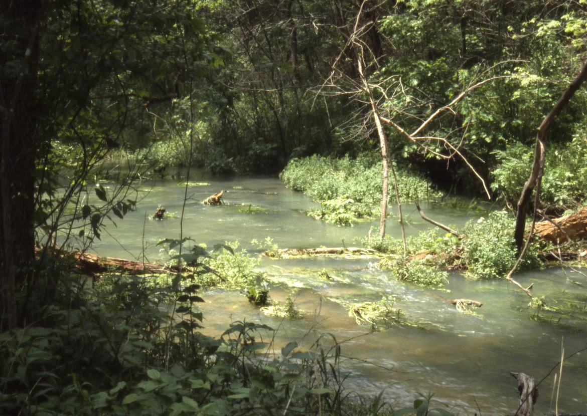 Limestone Stream, central Missouri.
