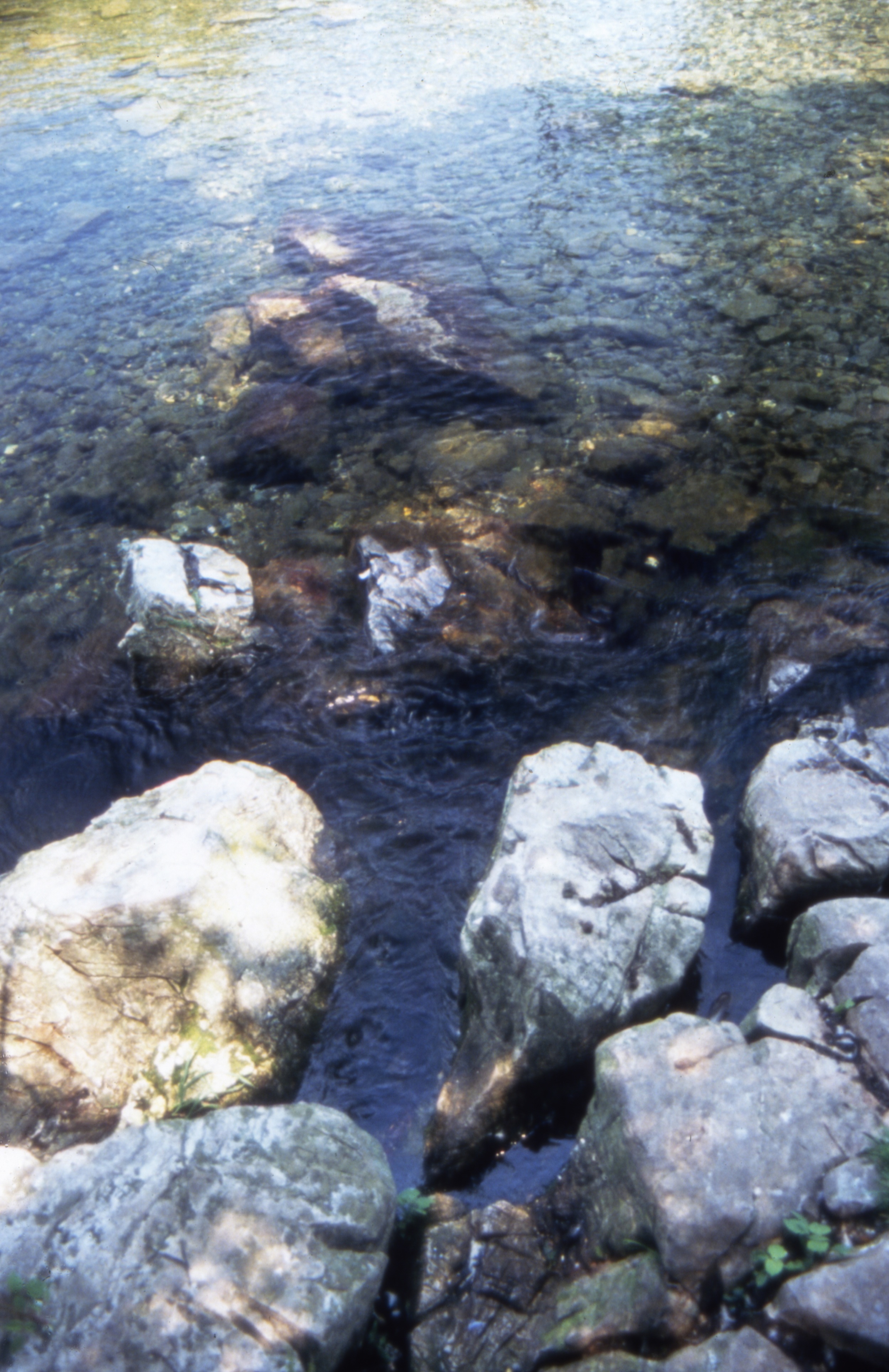 Figure 28. Source of the Yellow Breeches River, Boiling Springs, Pennsylvania.