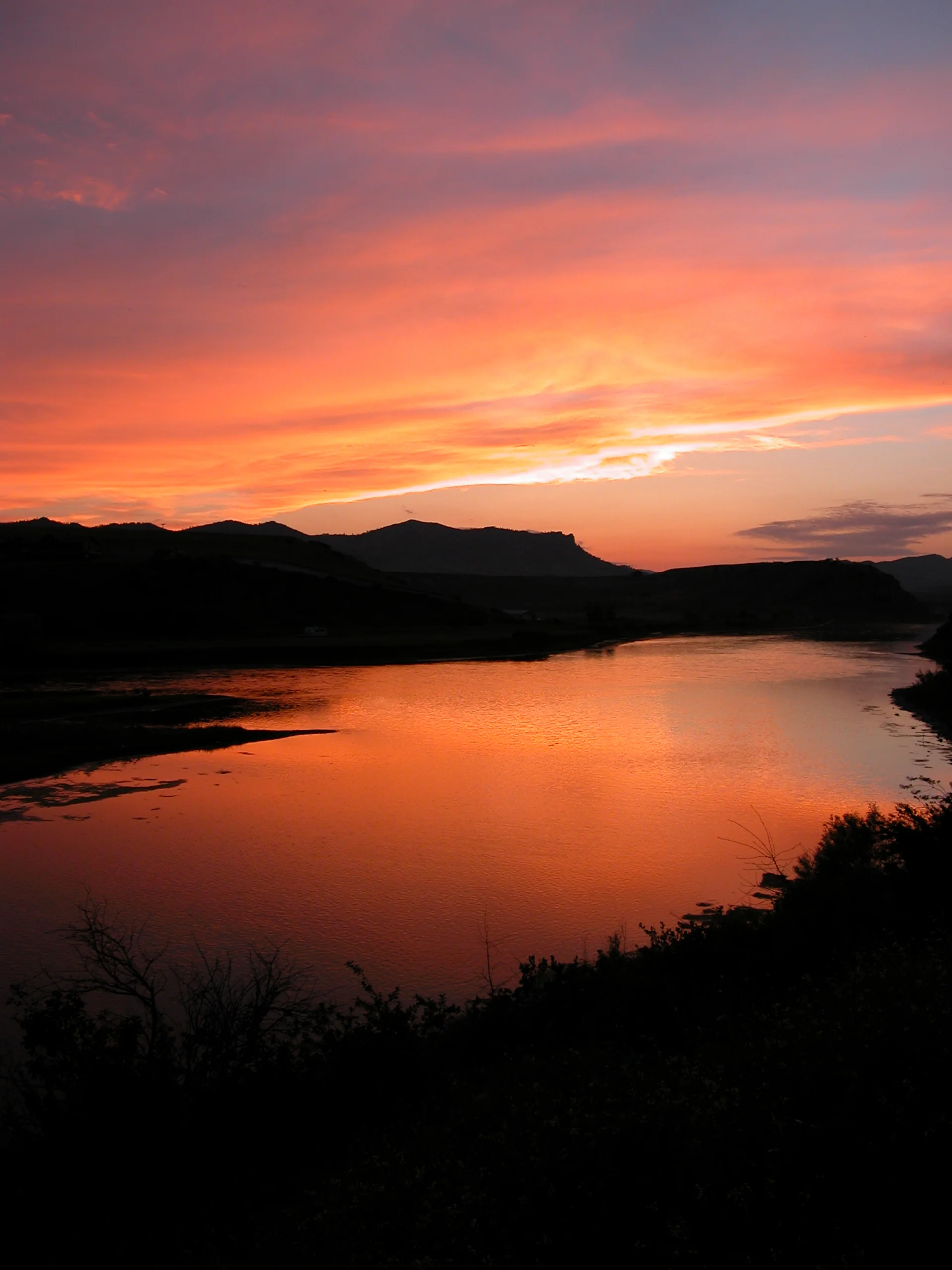 Tailwater Fisheries The Living River