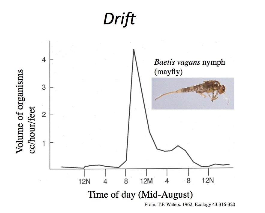 Fig.57 Drift.jpg