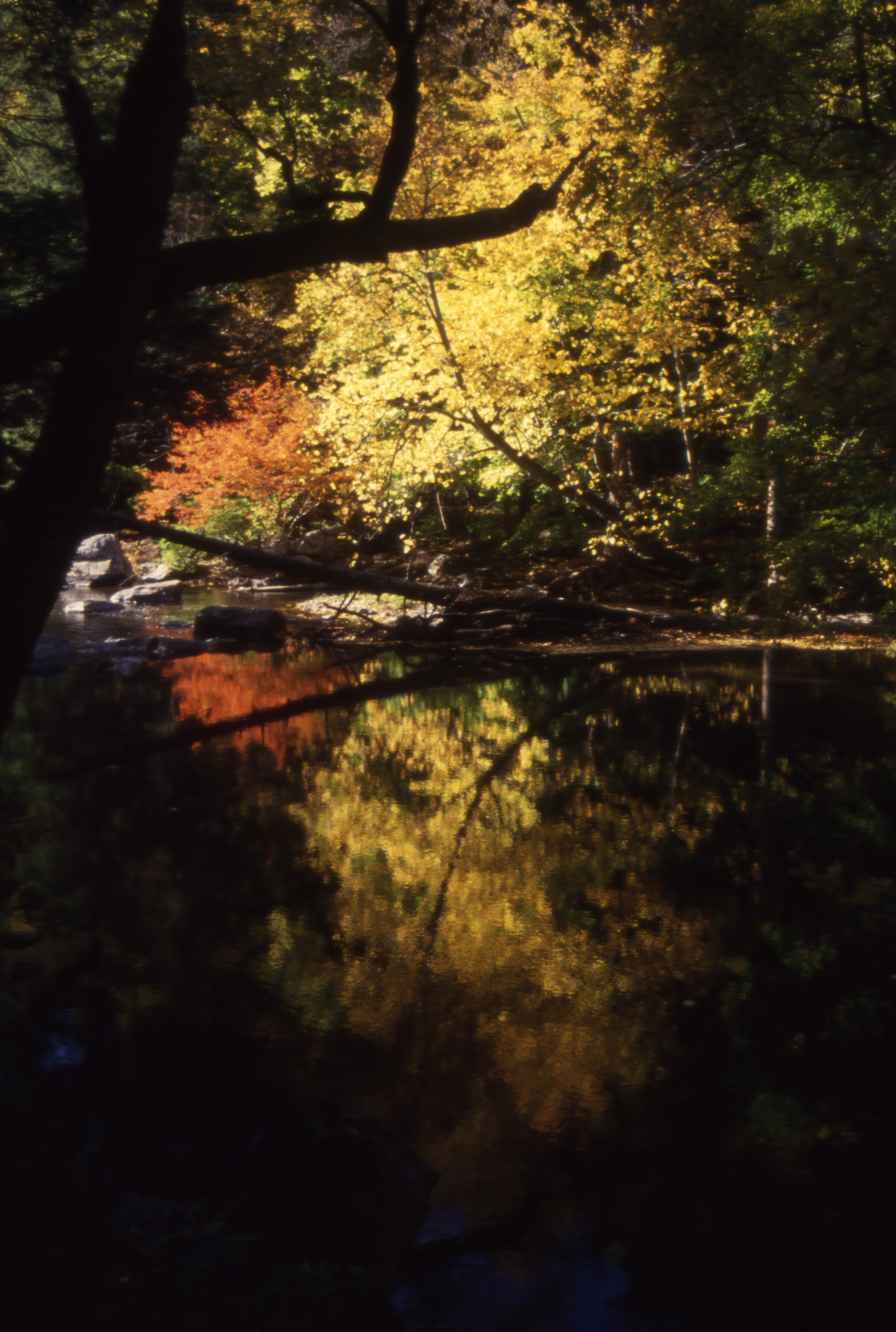 North Branch Raritan River, New Jersey