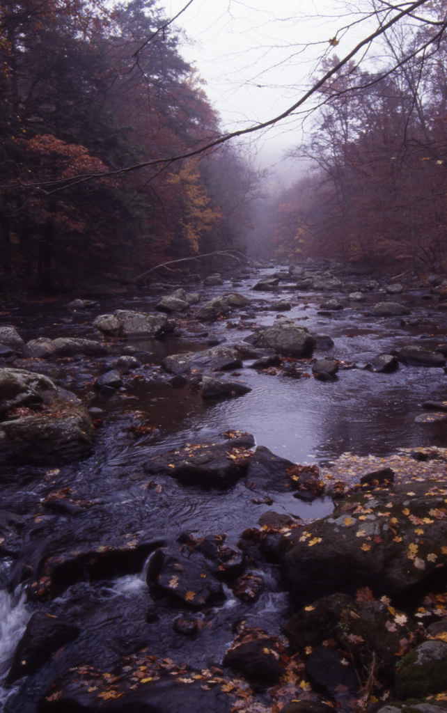 North Branch Raritan River, New Jersey.