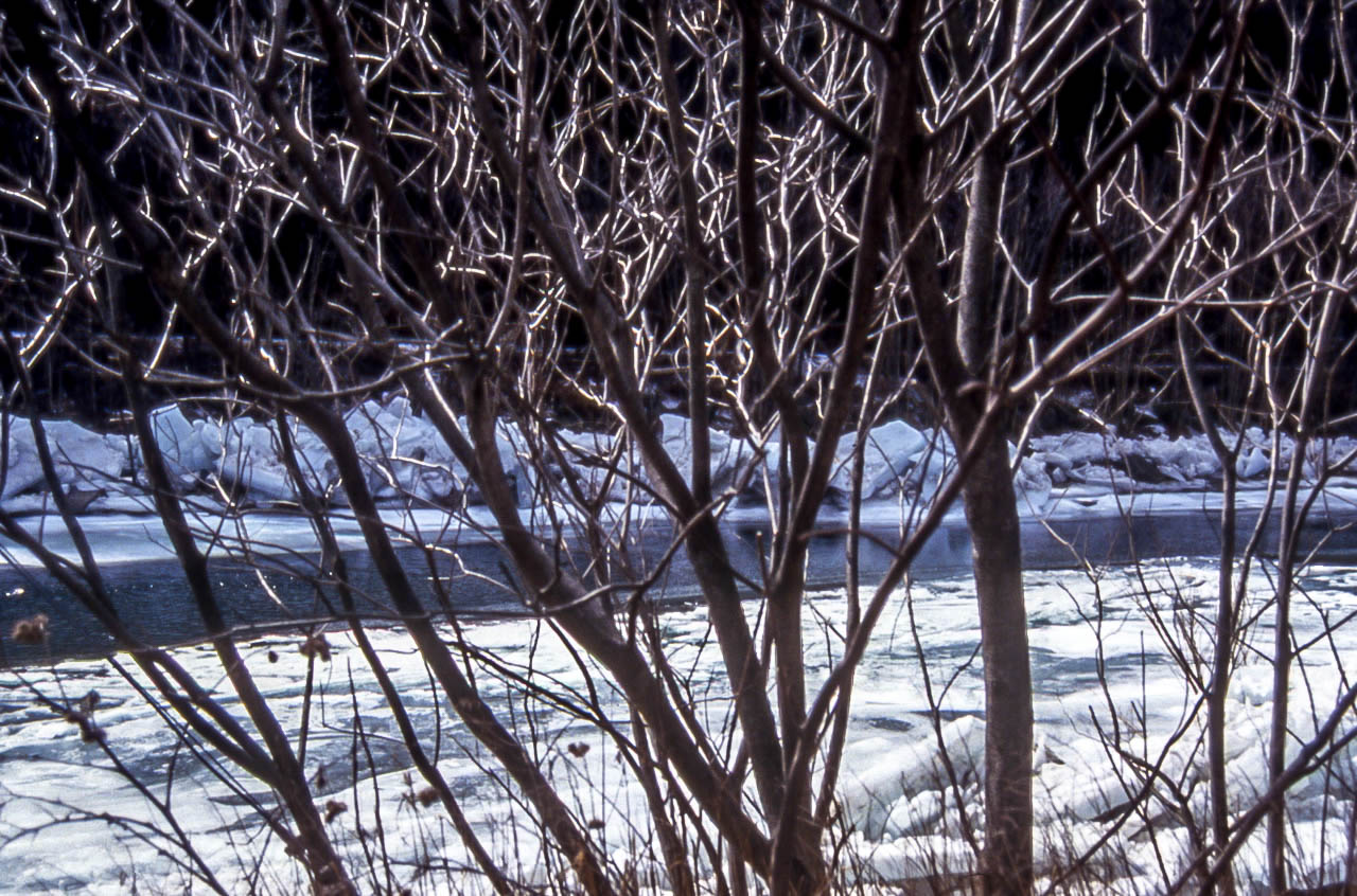 Beaver Kill