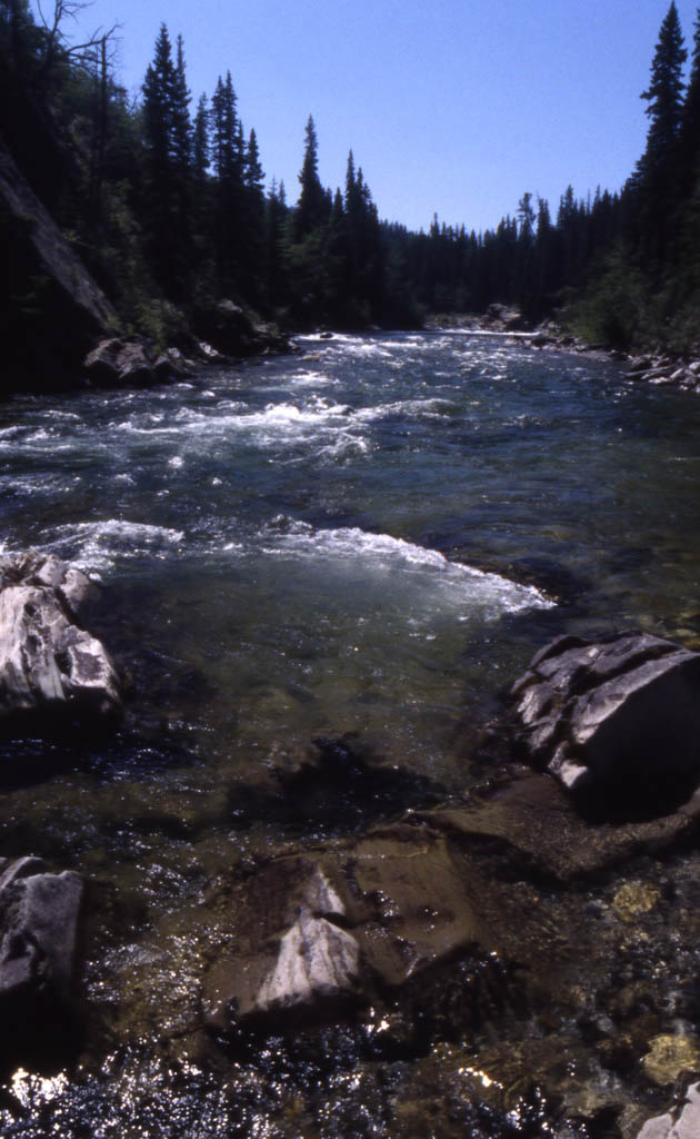 Livingston River, Alberta