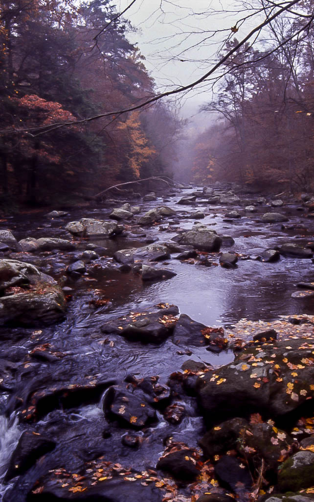 North Branch Raritan River, New Jersey