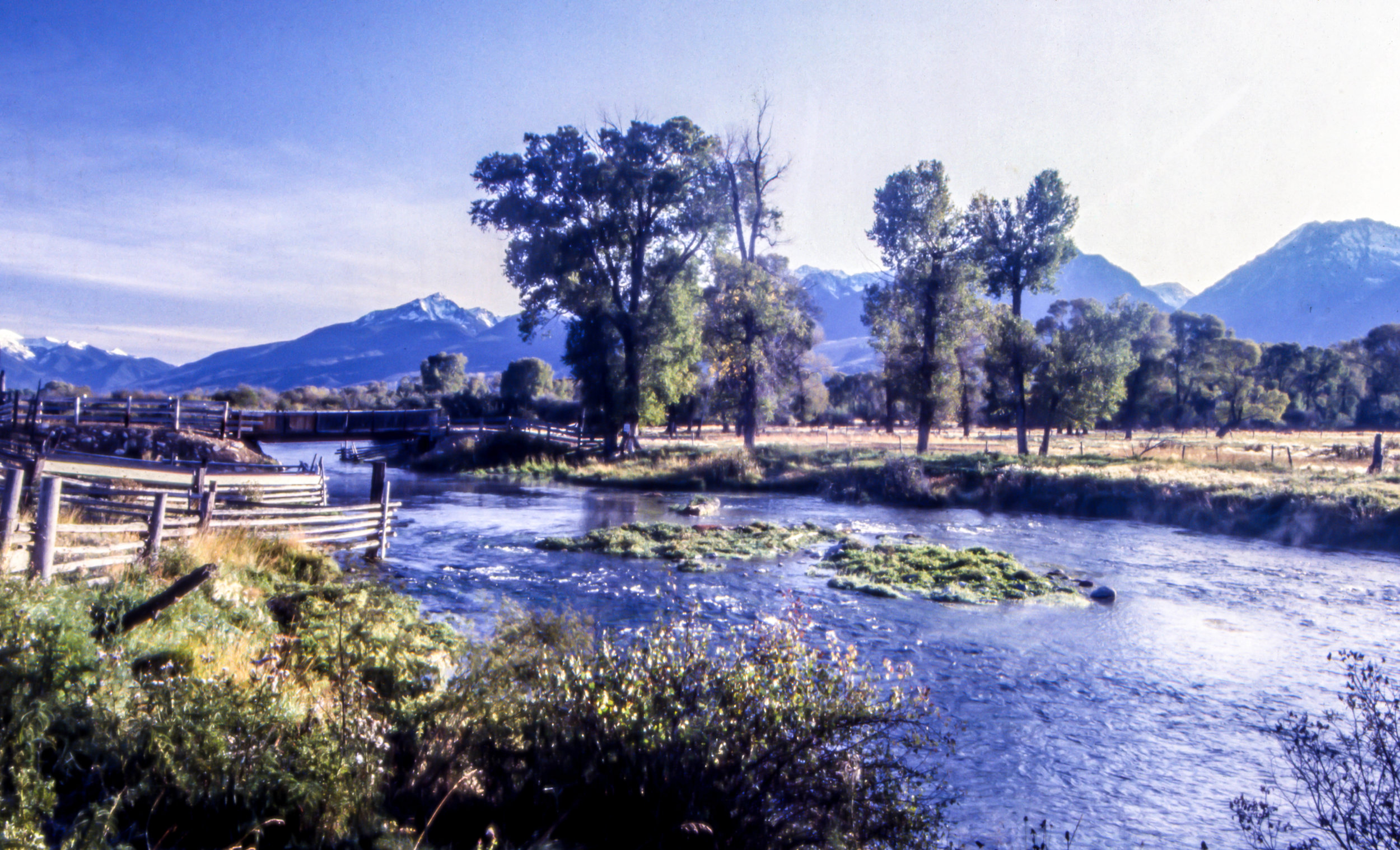 Armstrong Spring Creek, Paradise Valley, Livingston, Montana.