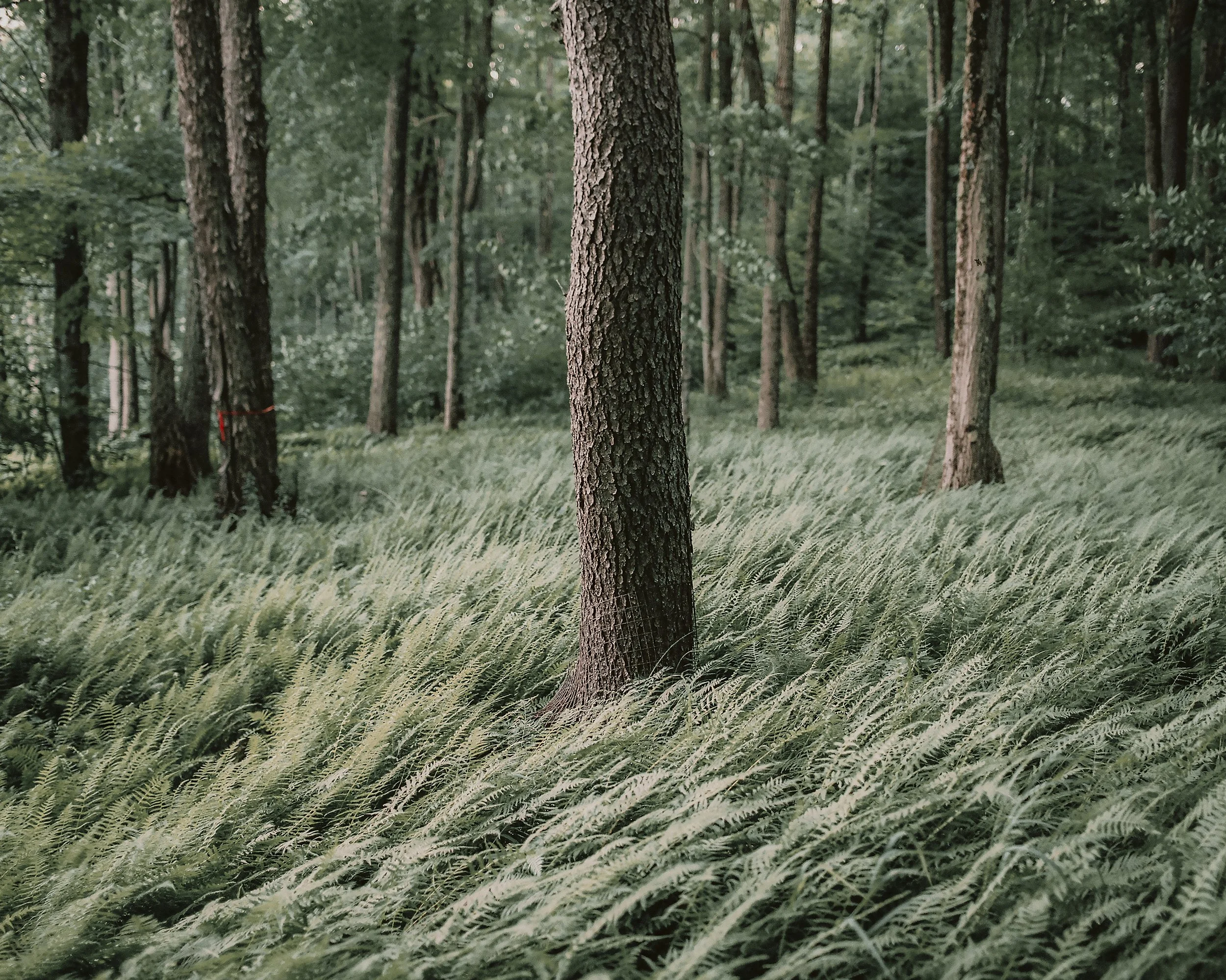 SamWat2_SamWat2-R1-E013-Edit.JPG